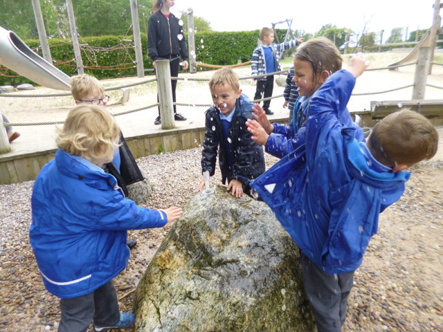 Image of This week Astley class went on a school trip to Martin Mere .... 